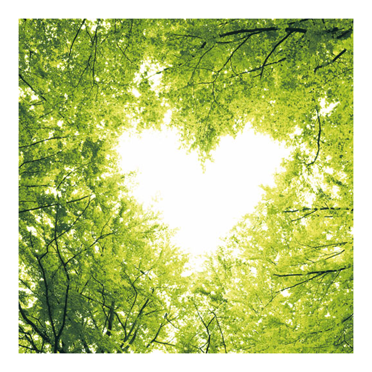 195088 Servíettur Nature Love 33x33cm – mynd 1